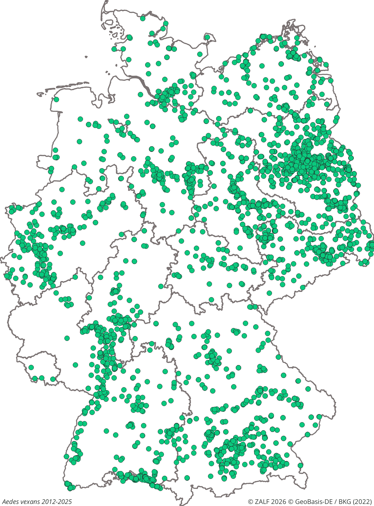 WNV-Überträger Aedes vexans 2012-2025