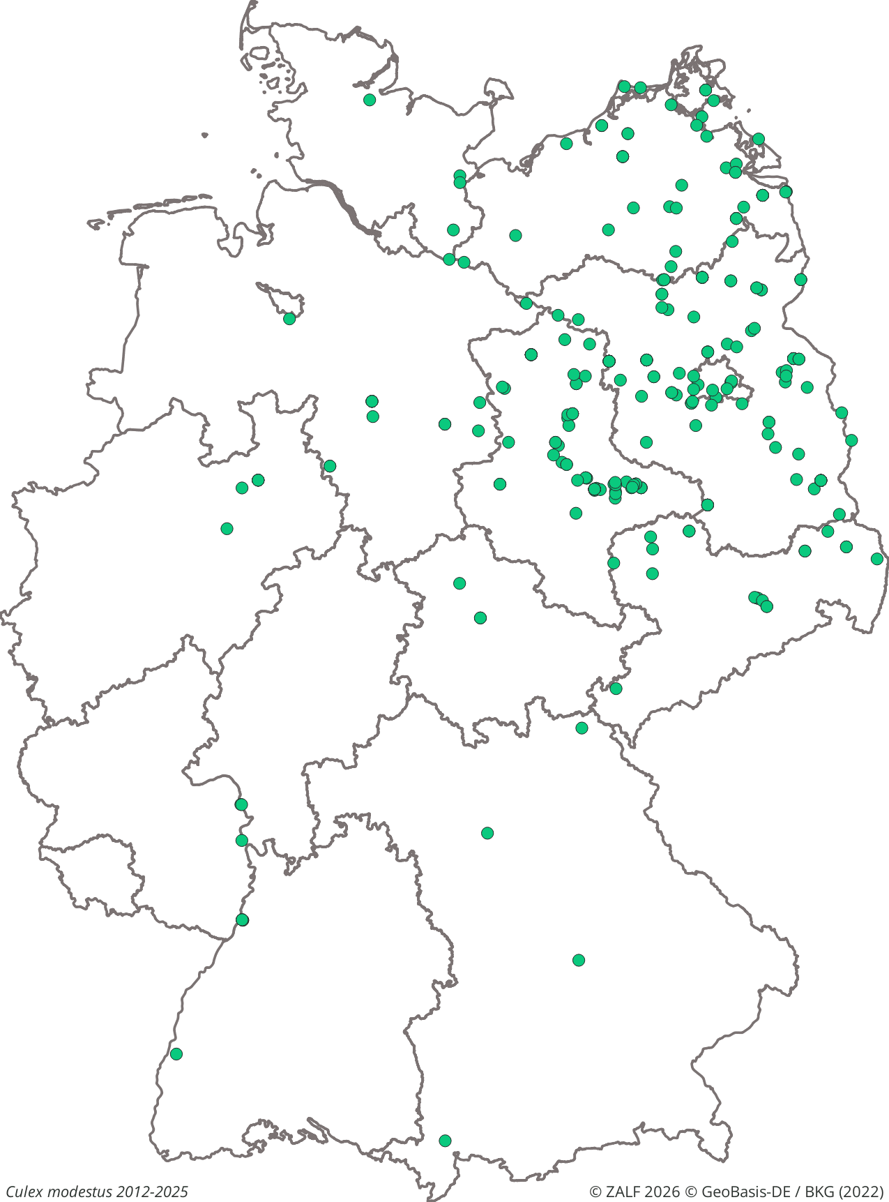 WNV-Überträger Culex modestus 2012-2025