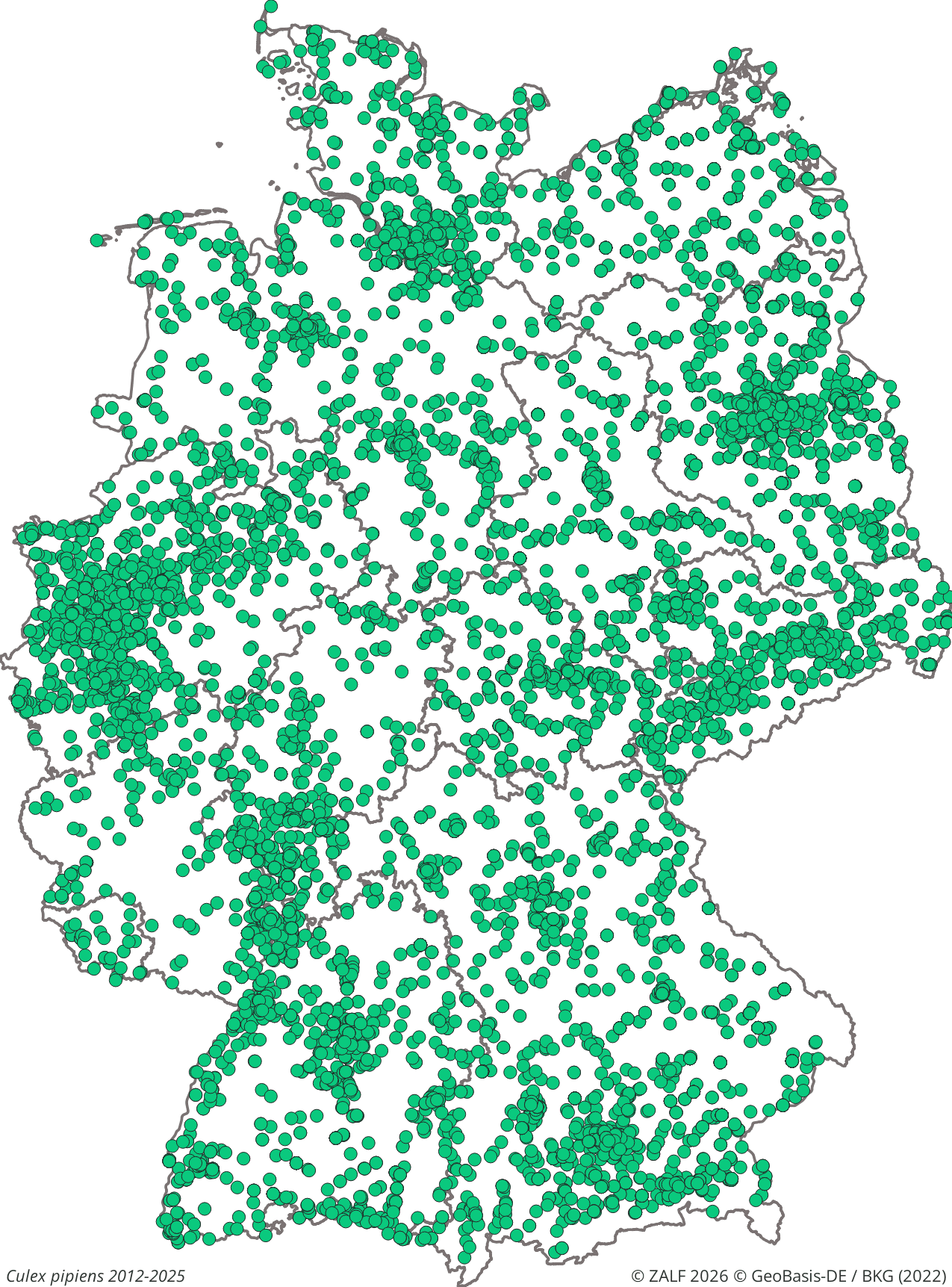 WNV-Überträger Culex pipiens 2012-2025