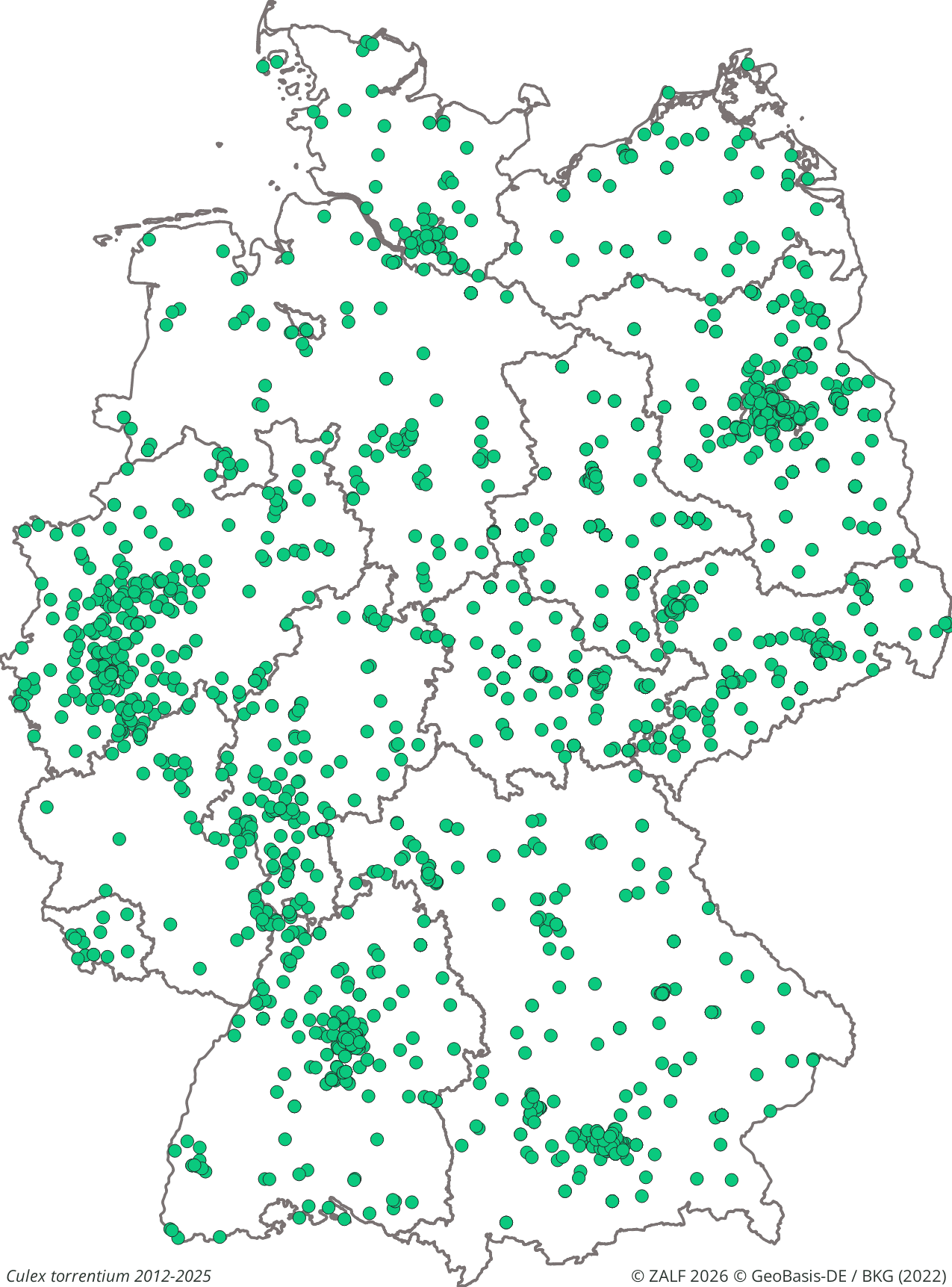 WNV-Überträger Culex torrentium 2012-2025